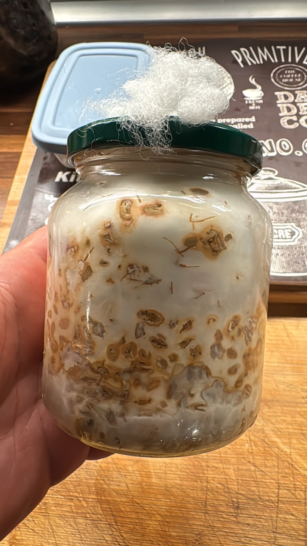 Ecco come Coltivare Funghi in&nbsp;Casa